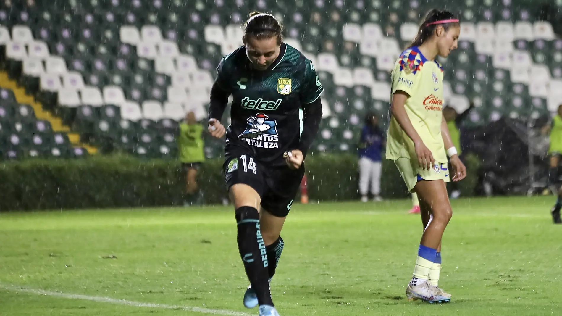 LEON FEMENIL (1)